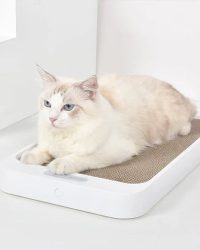 homerunPET Cat Scratch Board Weight Scale (PS15) 貓抓板體重秤