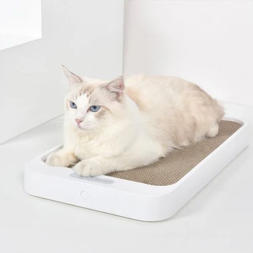homerunPET Cat Scratch Board Weight Scale (PS15) 貓抓板體重秤