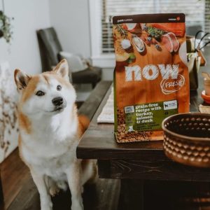 NOW FRESH!™無穀物狗糧