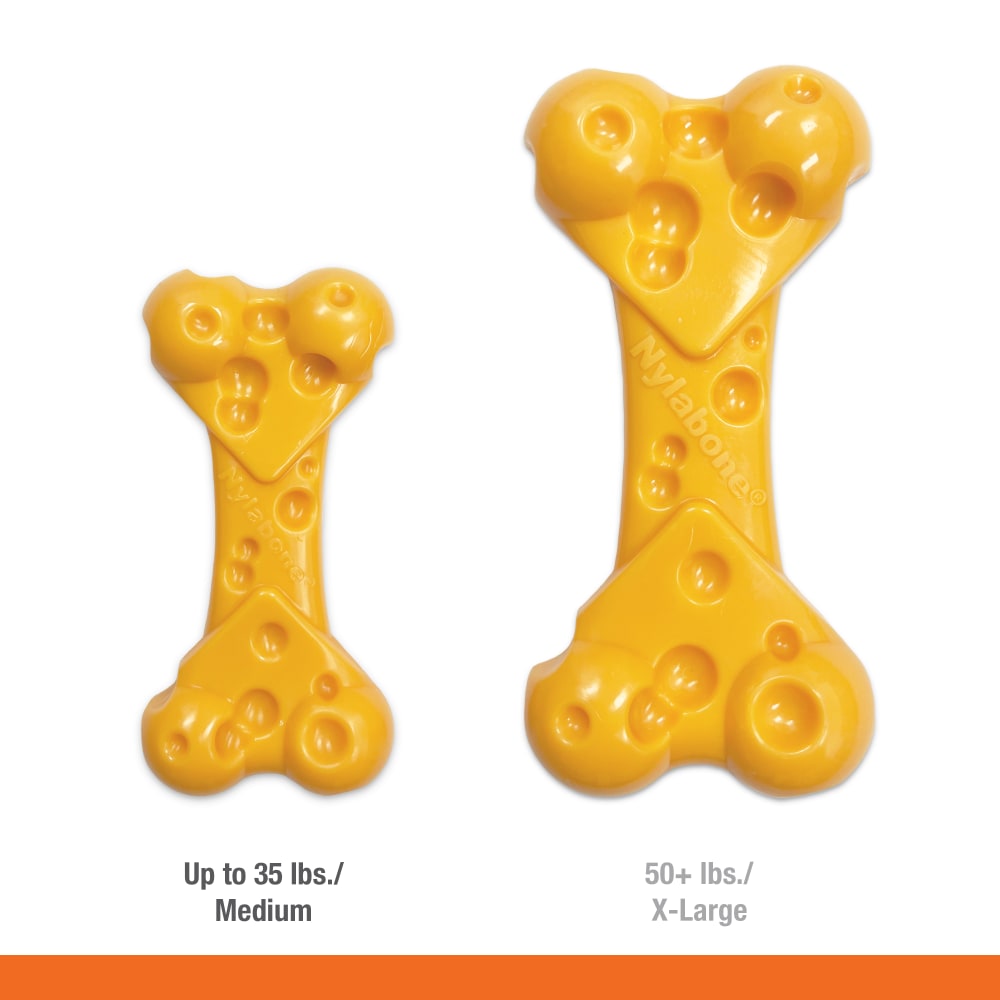 NYLABONE Power Chew 芝士味狗骨玩具 (中-35lbs以下)