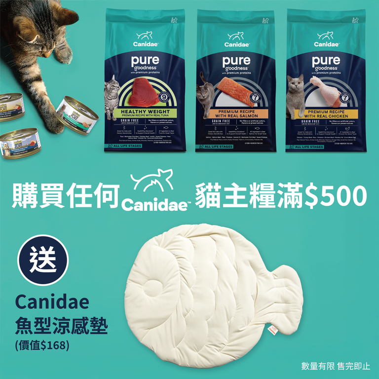canidae_cat_post